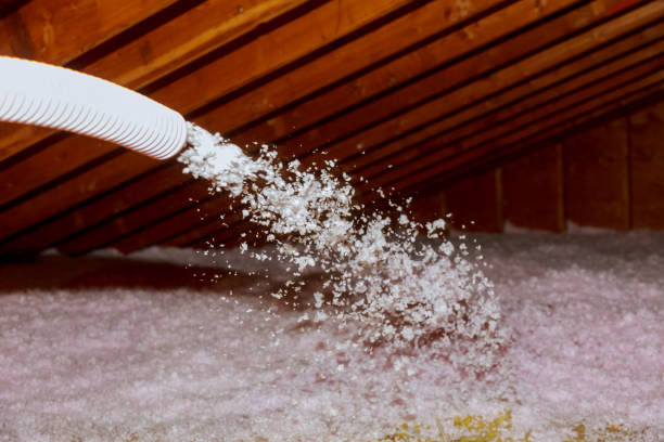 Types of Insulation We Offer in MN