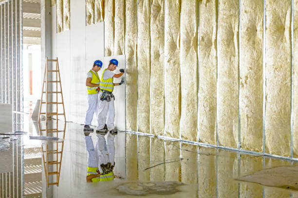 Best Residential Insulation in Montgomery, MN